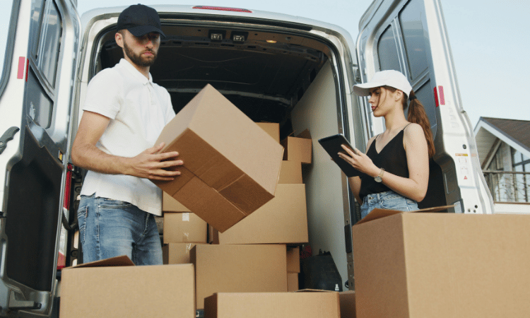 Domestic Packers and Movers
